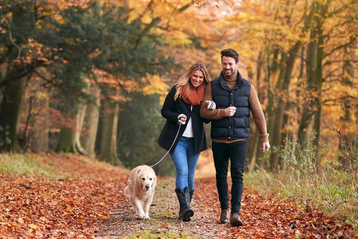 Loving Couple Walking With Pet Golden Retriever Dog Along Autumn Woodland Path Through Trees