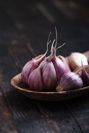 Why Aged Garlic Extract?