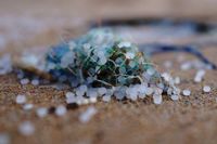 Microplastics with a Mega Impact