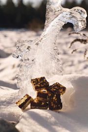 Oat and Walnut Ganache Bars