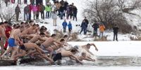 Polar Bear Swims