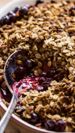 Tarragon Berry Slump with Anise Oat Crumble